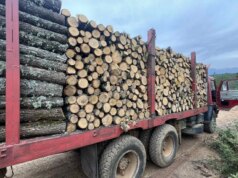 Запленети над 500 кубни метри дрвна маса и поднесени 140 пријави: одземени товарни, патнички возила, трактори