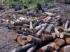 Приведен 35-годишник во Чашка со трактор полн со бесправно исечени огревни дрва