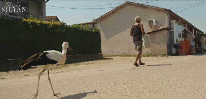 siljan