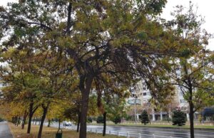 Променливо облачно и посвежо со услови за врнежи од дожд во северните делови