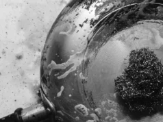 Без триење и стругање: Исчистете го изгореното тавче за миг со овој трик